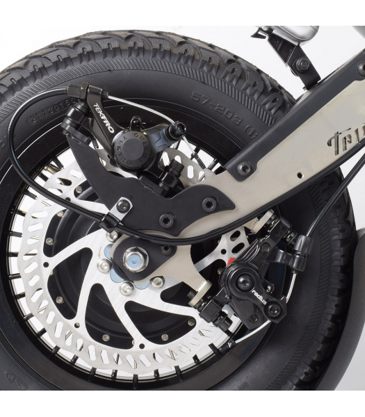 Triride Disc Brake
